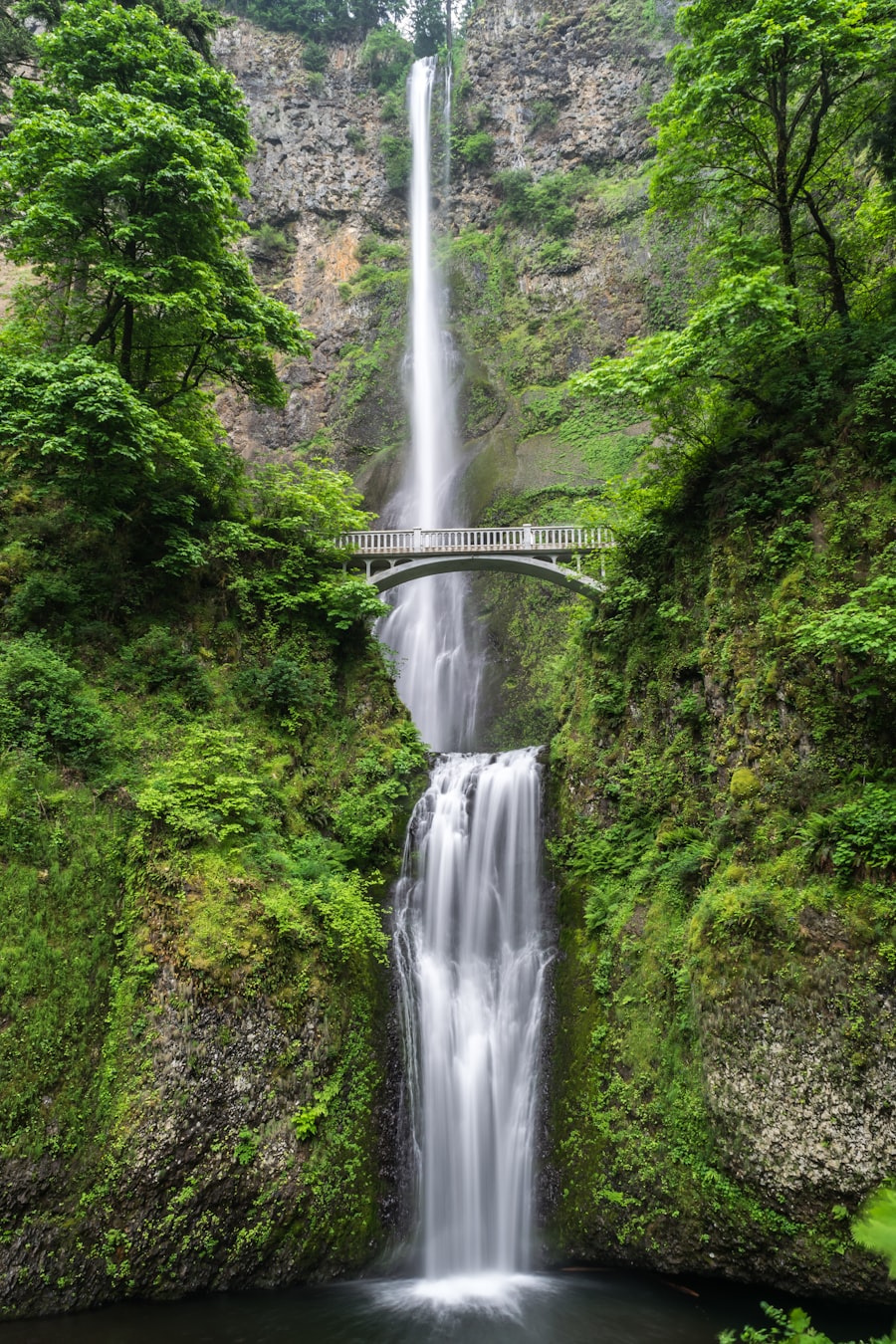 Cascada entre niebla